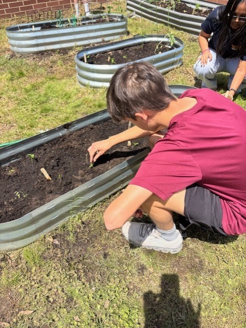 student tending a garden