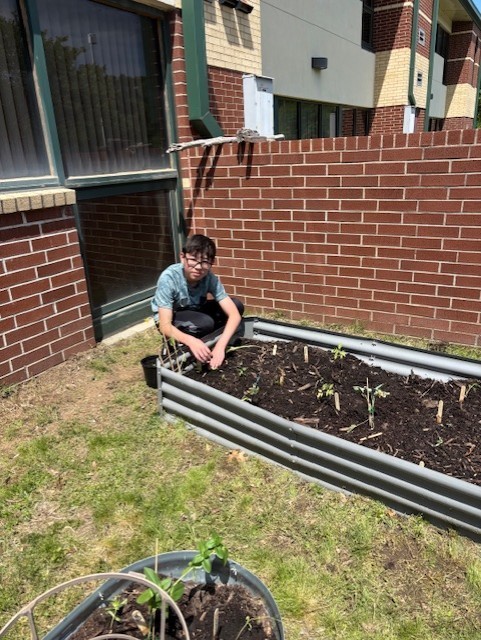 student tending a garden