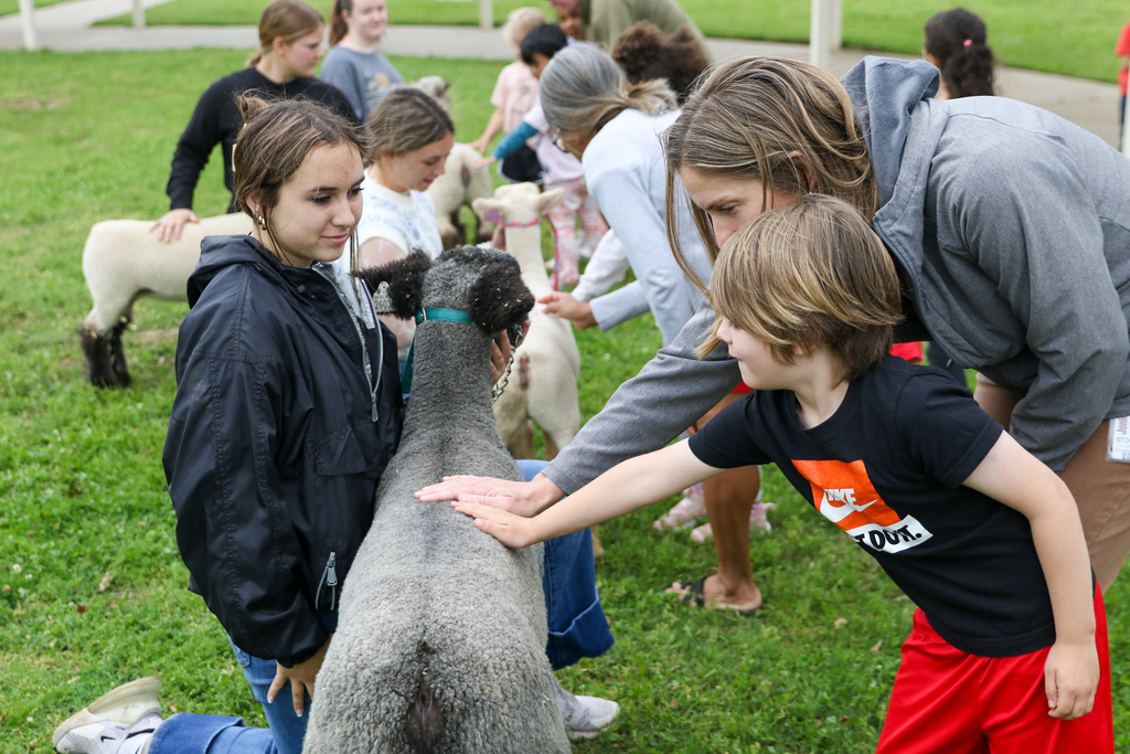 teacher and student petting the sheep