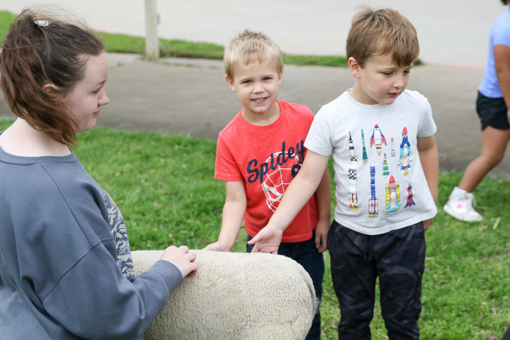 two boys smiling while petting the sheep