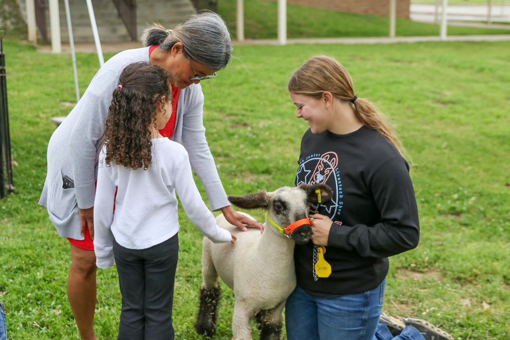 a teacher and student petting the sheep with a ffa student holding the sheep