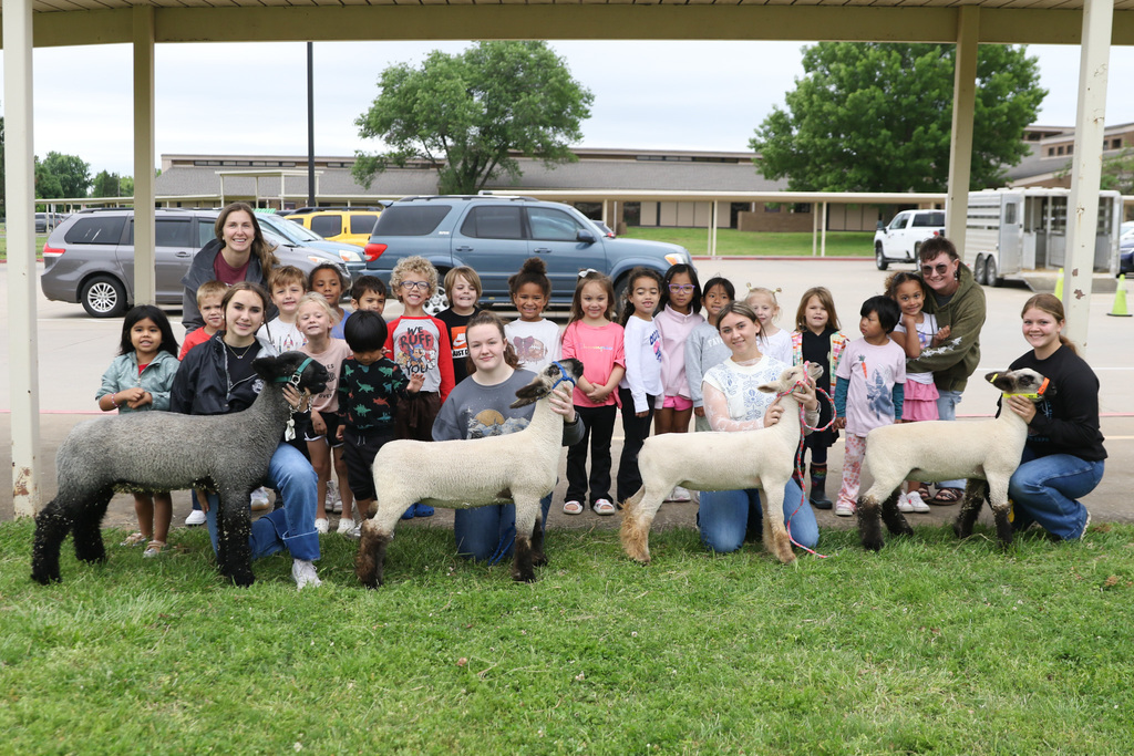 JHS FFA students with their sheep and a Pre-K class.