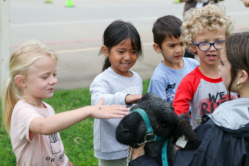 4 students petting a sheep