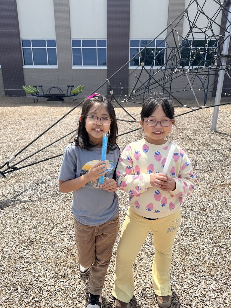 3rd Grade Popsicle Day