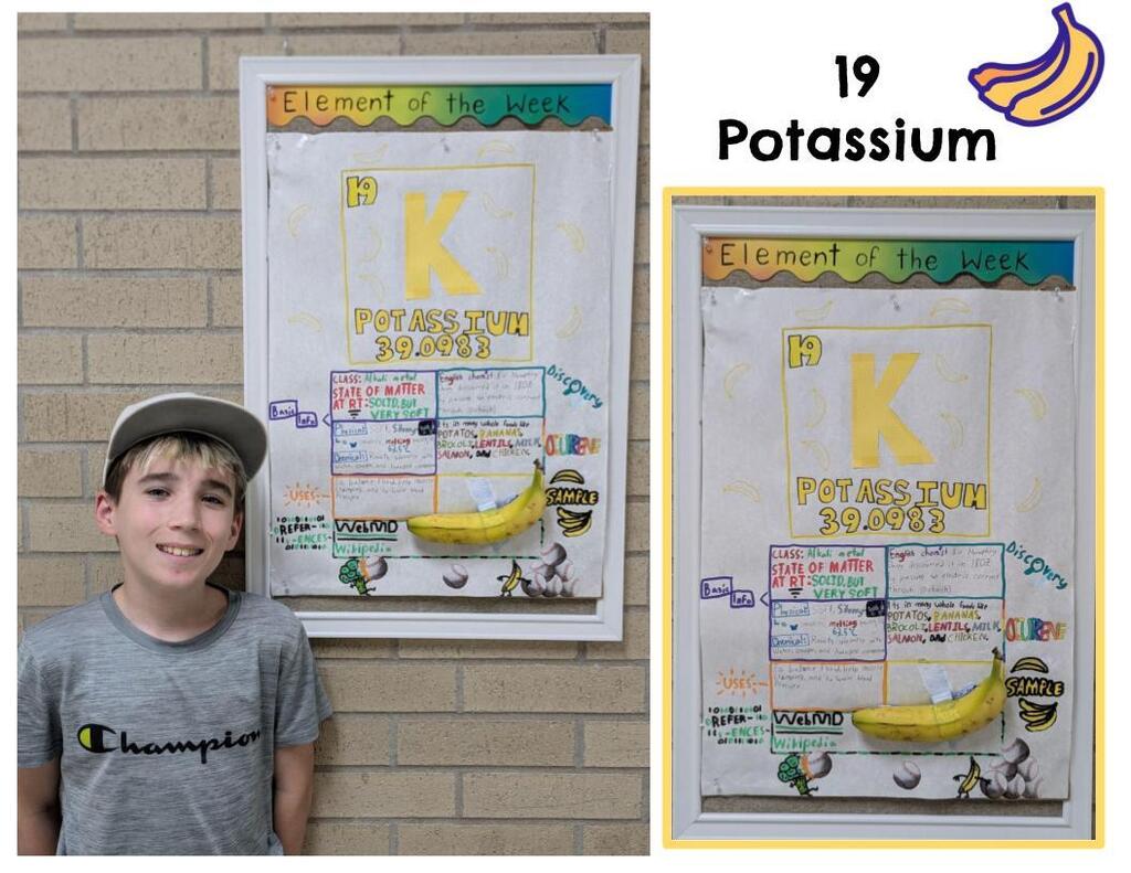 Student standing next to element poster