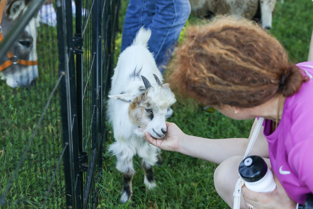 woman squatted down next to a goat petting it as it rests its head in her hand
