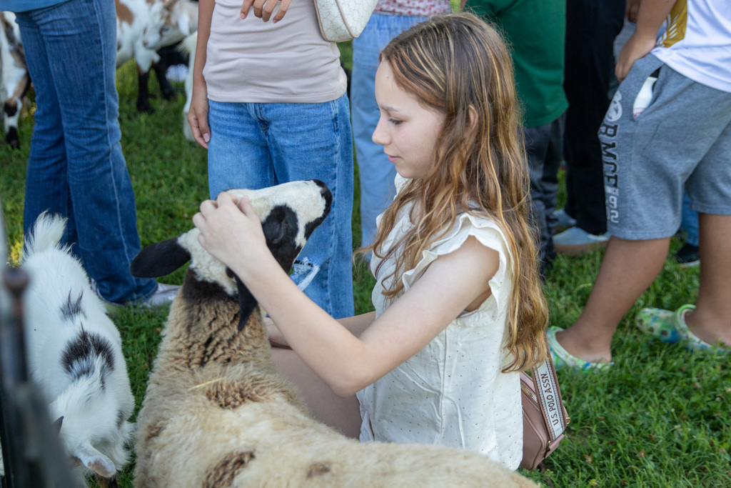 girl squatted down next to a goat petting it's head while it looks up at her