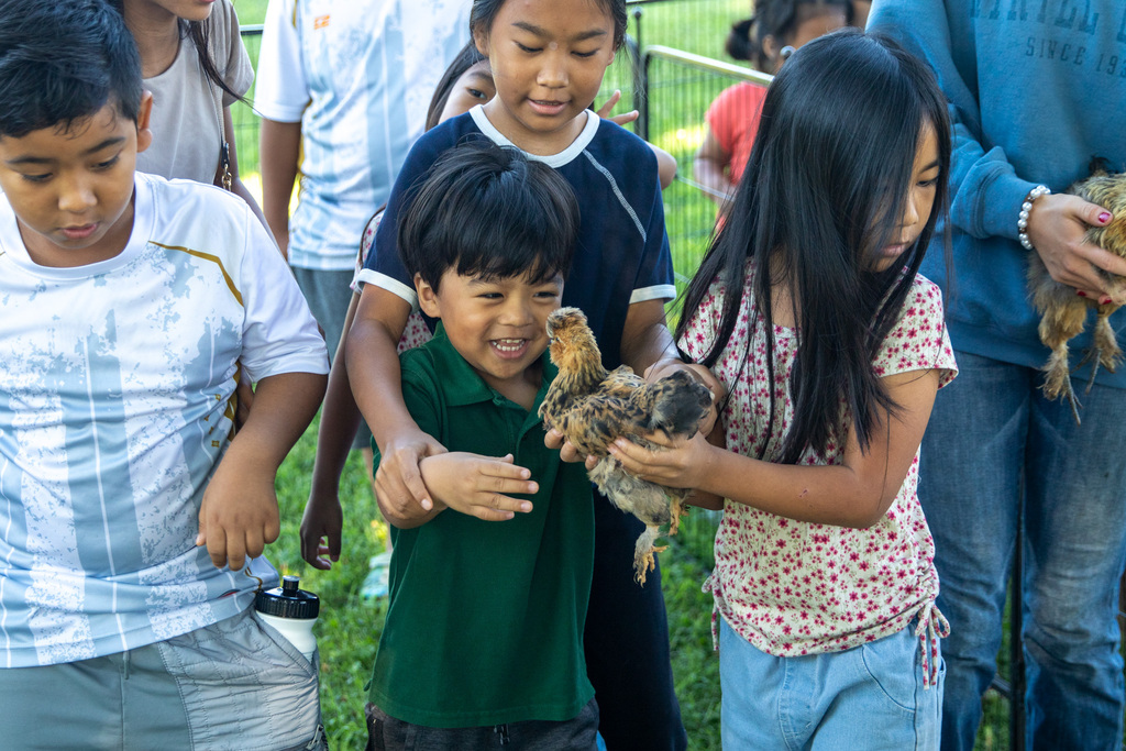 a girl holding a chicken and a boy reaching out to pet it 