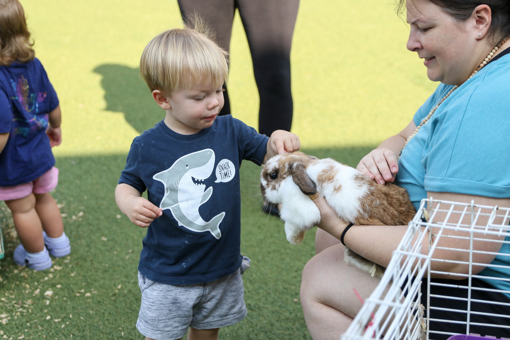 little boy petting a bunny being held by an adult