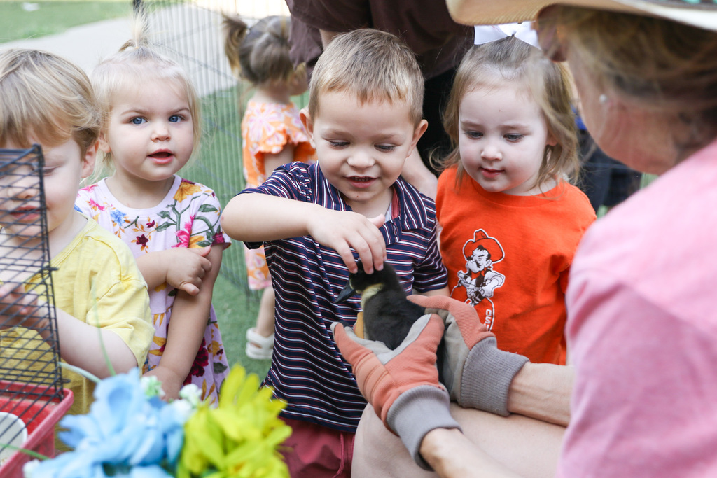 little boy petting a baby duck with two other little girls around him. duck is being held by an adult