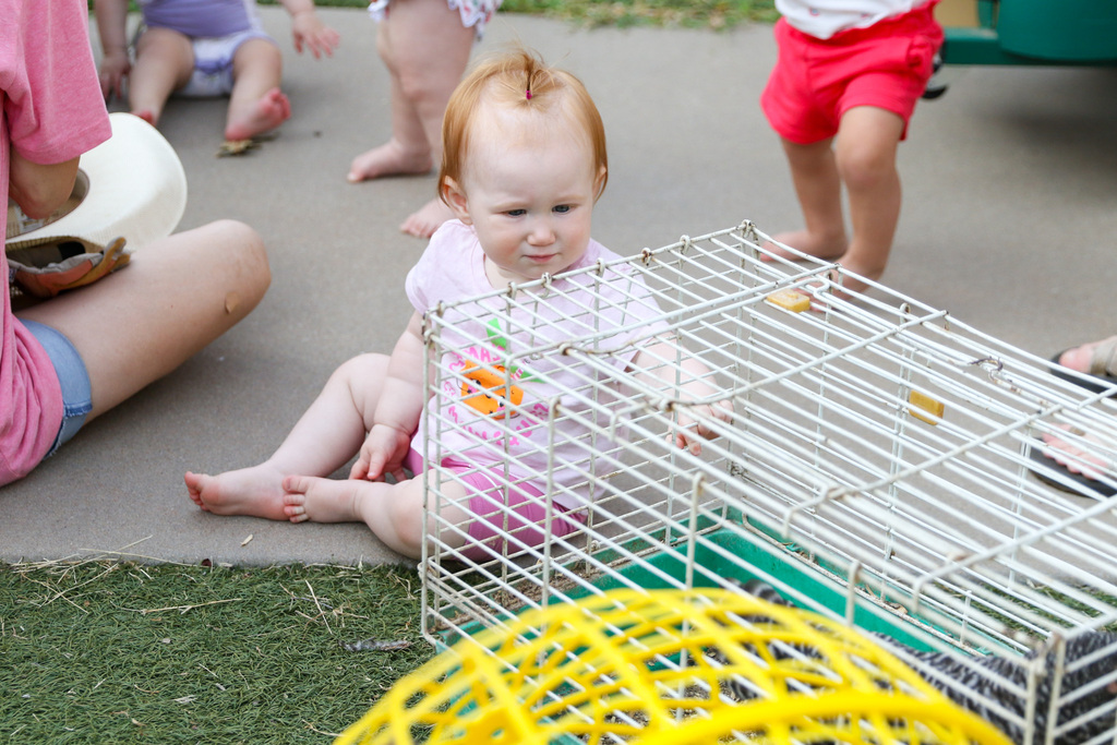 little girl sitting on the ground looking next to her at a chicken in a crate