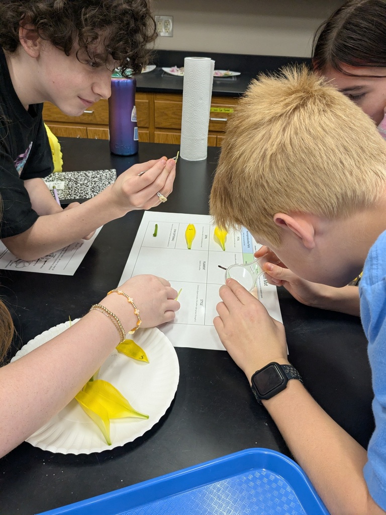 student looking at flower parts through a magnifier
