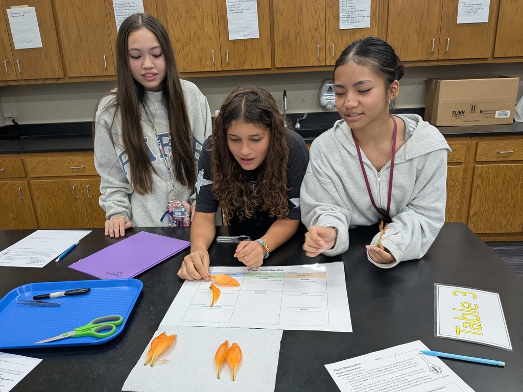 3 students at a science lab table working with petals