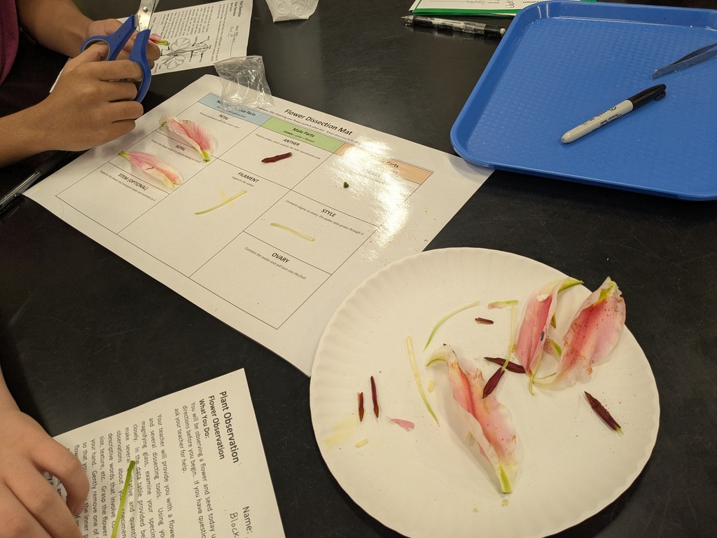 flower science lab paper and equipment