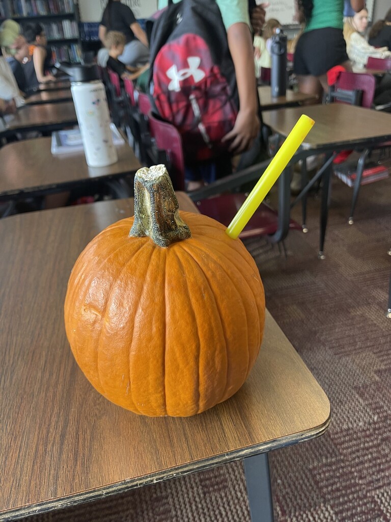 Mrs. Averitt's pumpkin cup