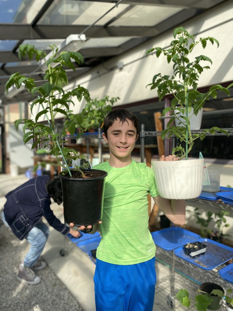 plants