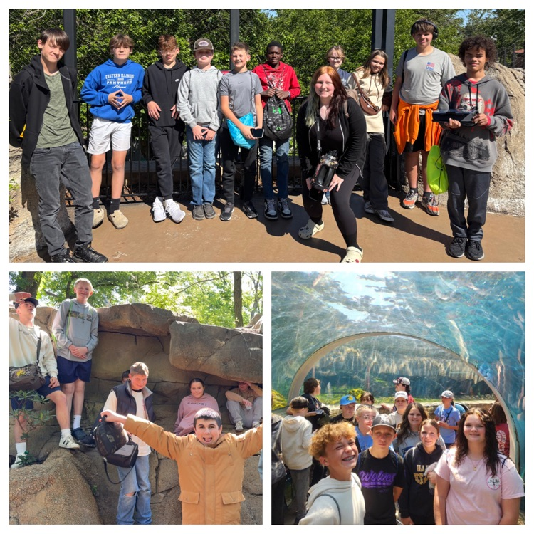 zoo