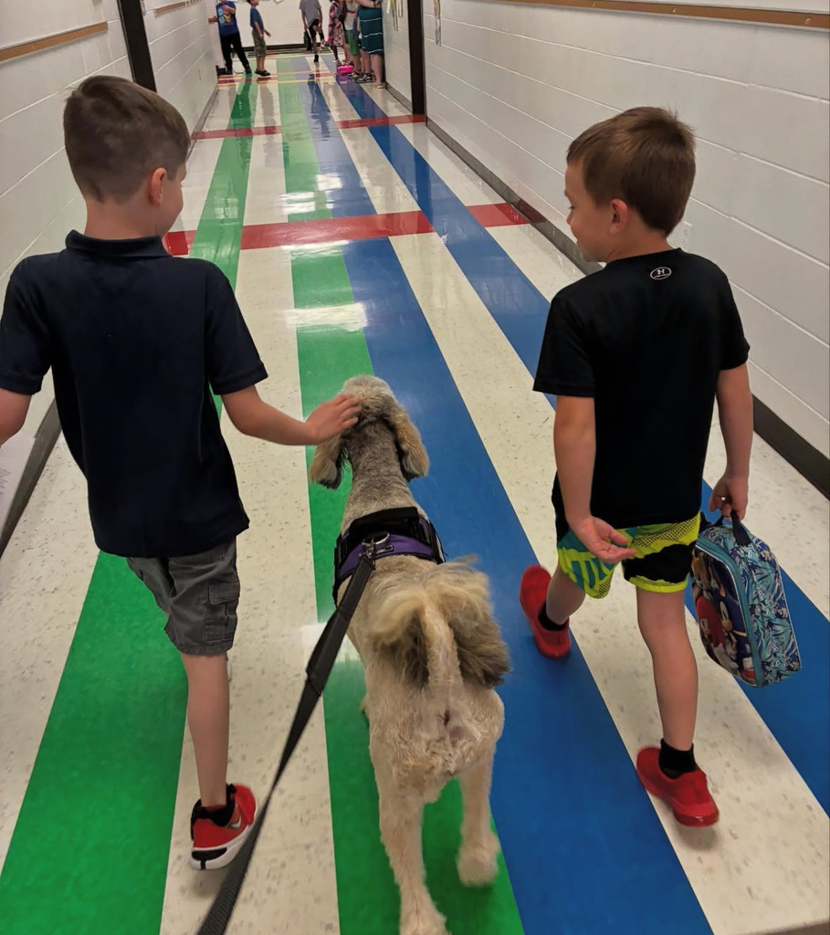 Marley loves hanging out with students!