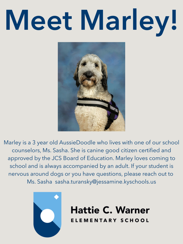 Meet Marley!