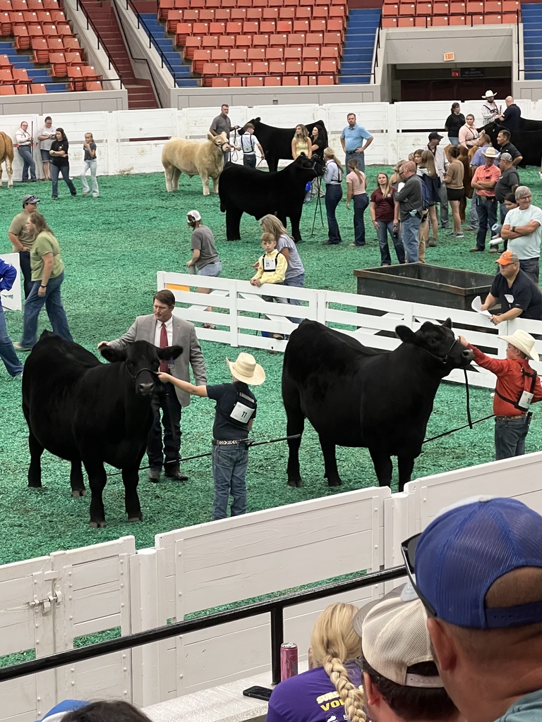 ky state fair angus