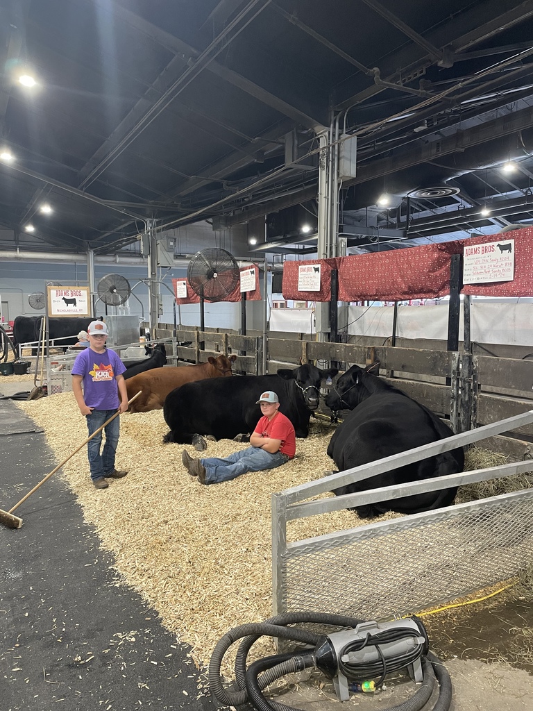 ky state fair angus