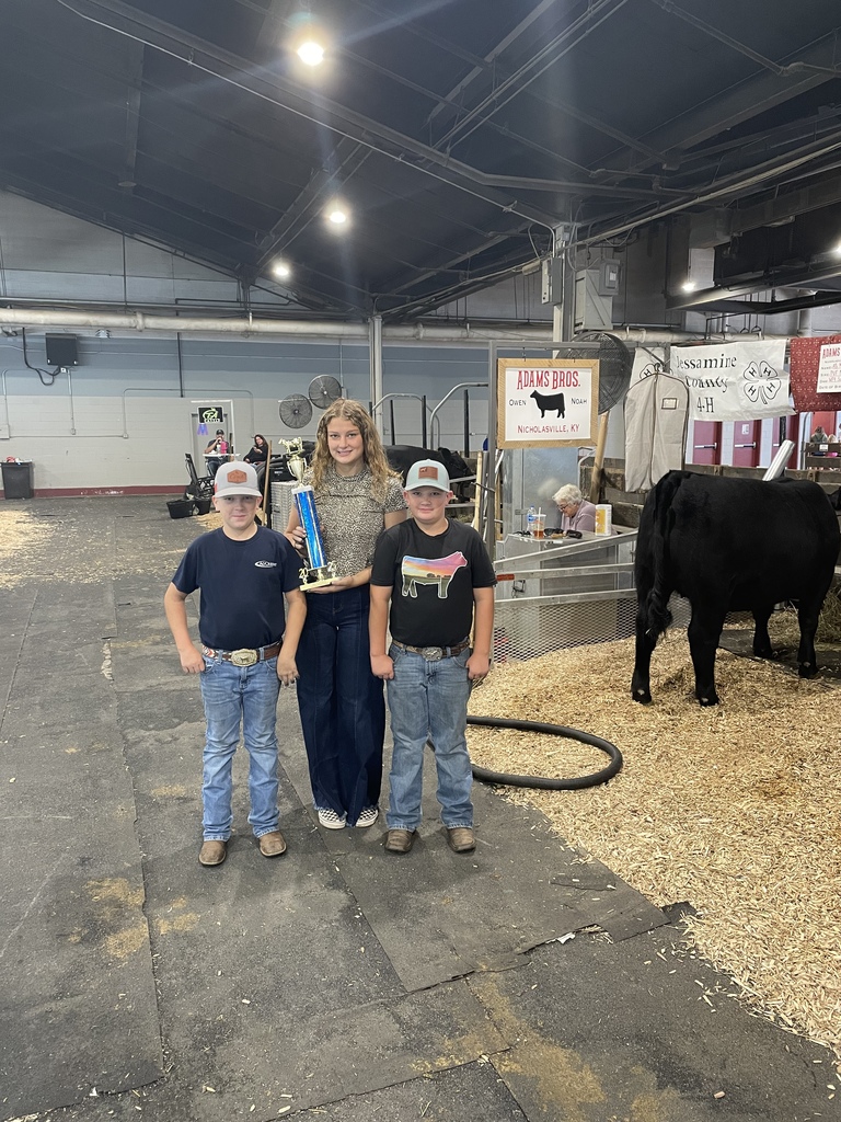 ky state fair angus