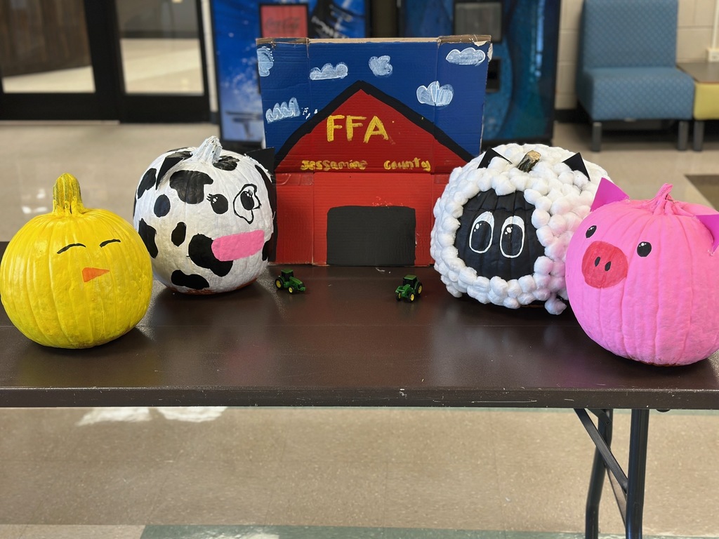 pumpkin contest