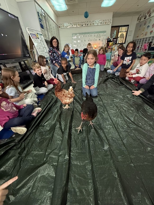 Students with chickens!