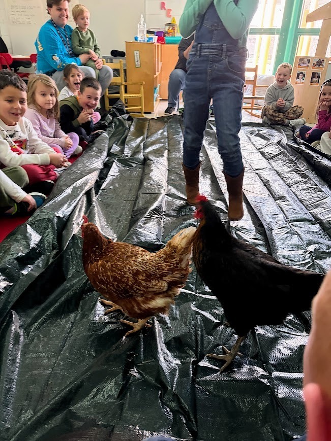 Students with chickens!