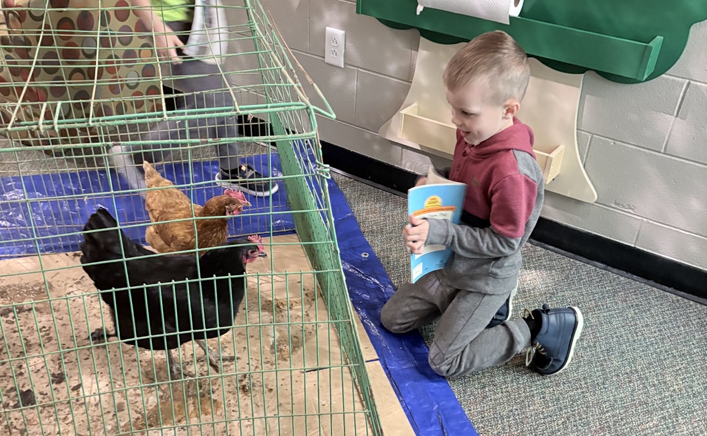 Little boy holds a book out for chickens to see