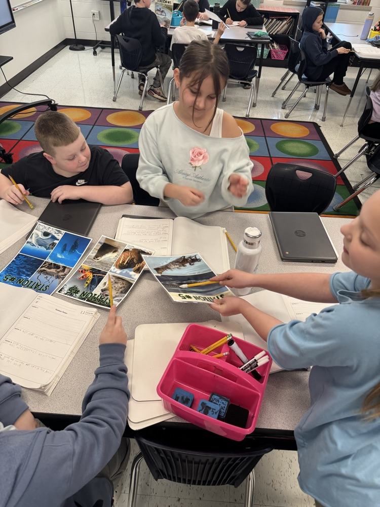 Native American Studies