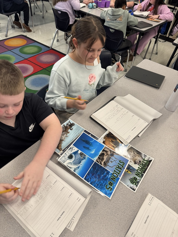 Native American Studies