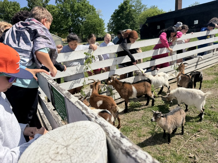 Field trip