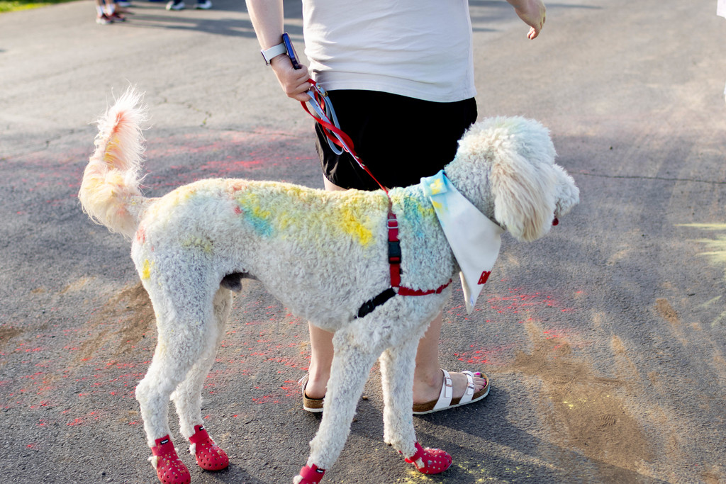 Color Run April 17th