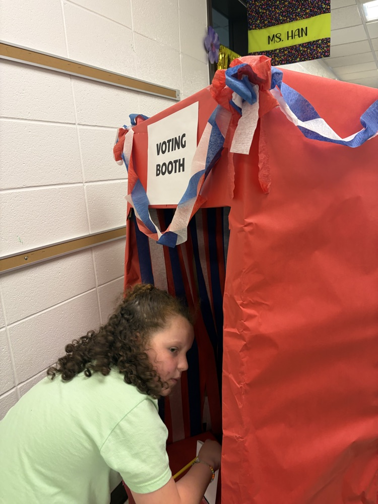 voting