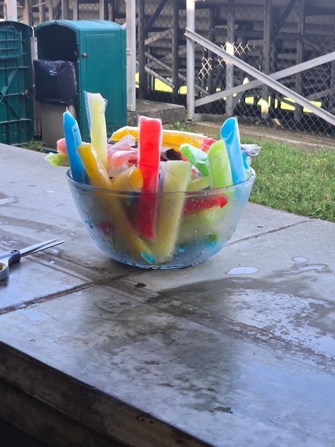 popsicles