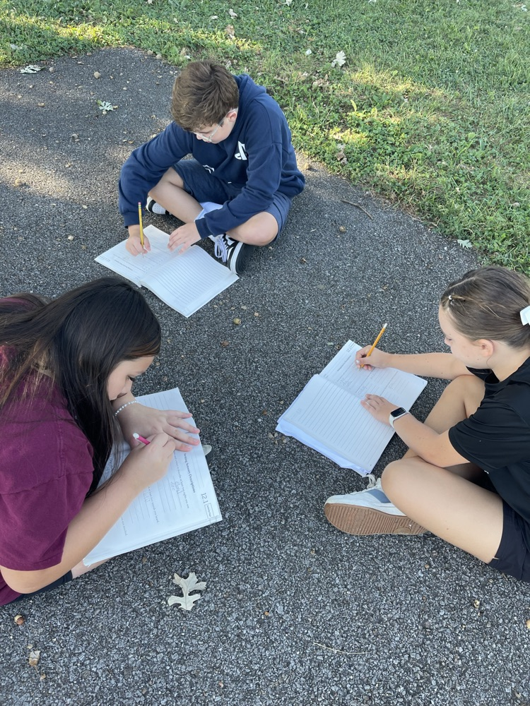 sensory walk