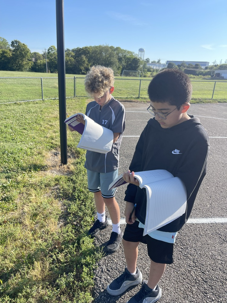 sensory walk