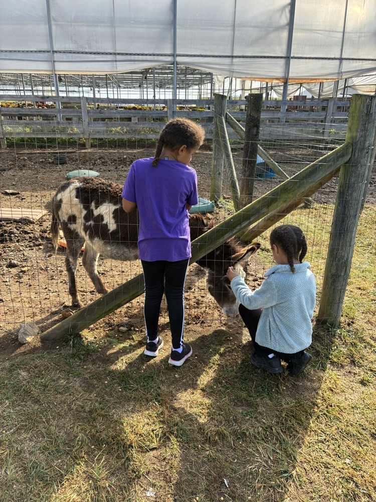 Field trip