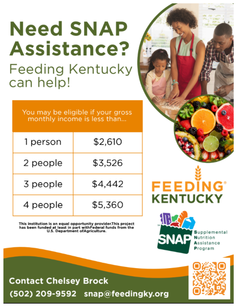SNAP flyer