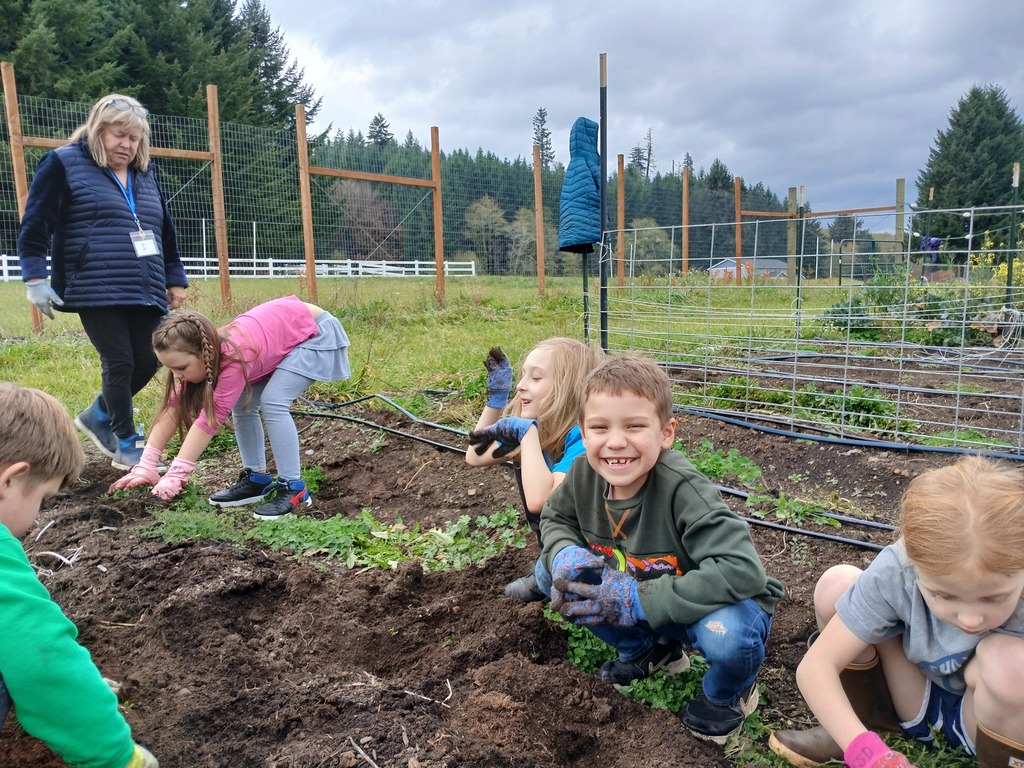 1st/2nd graders harvesting potatoes