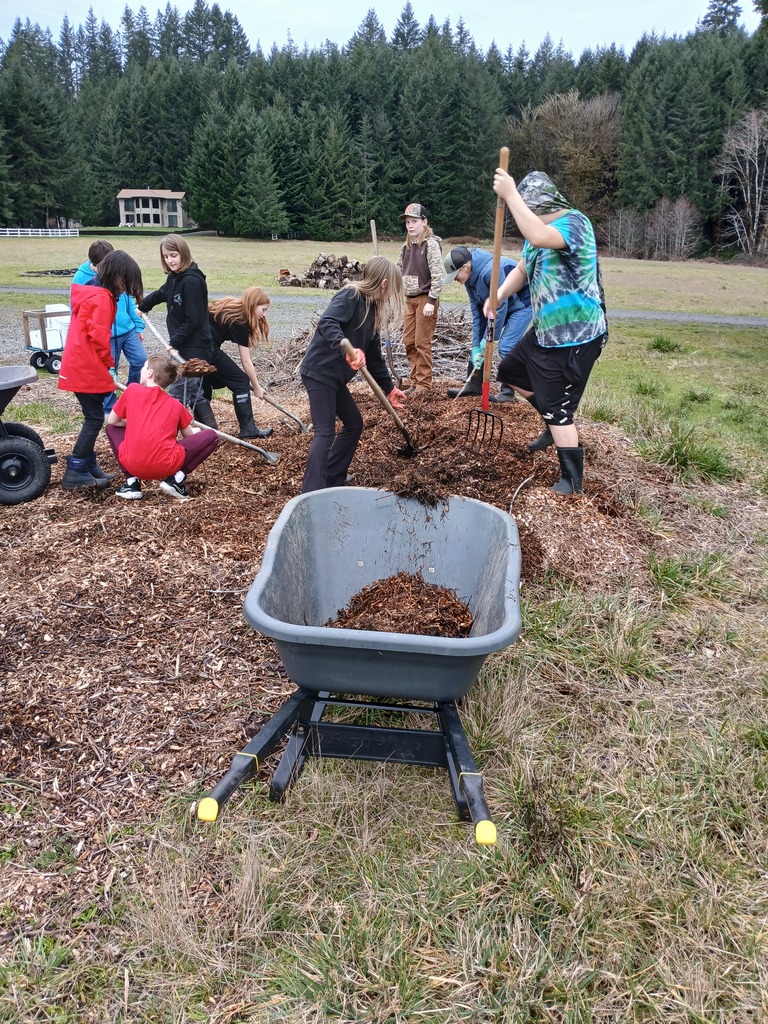 6th grade help expand the Pumpkin Patch with bark chips for Mulch