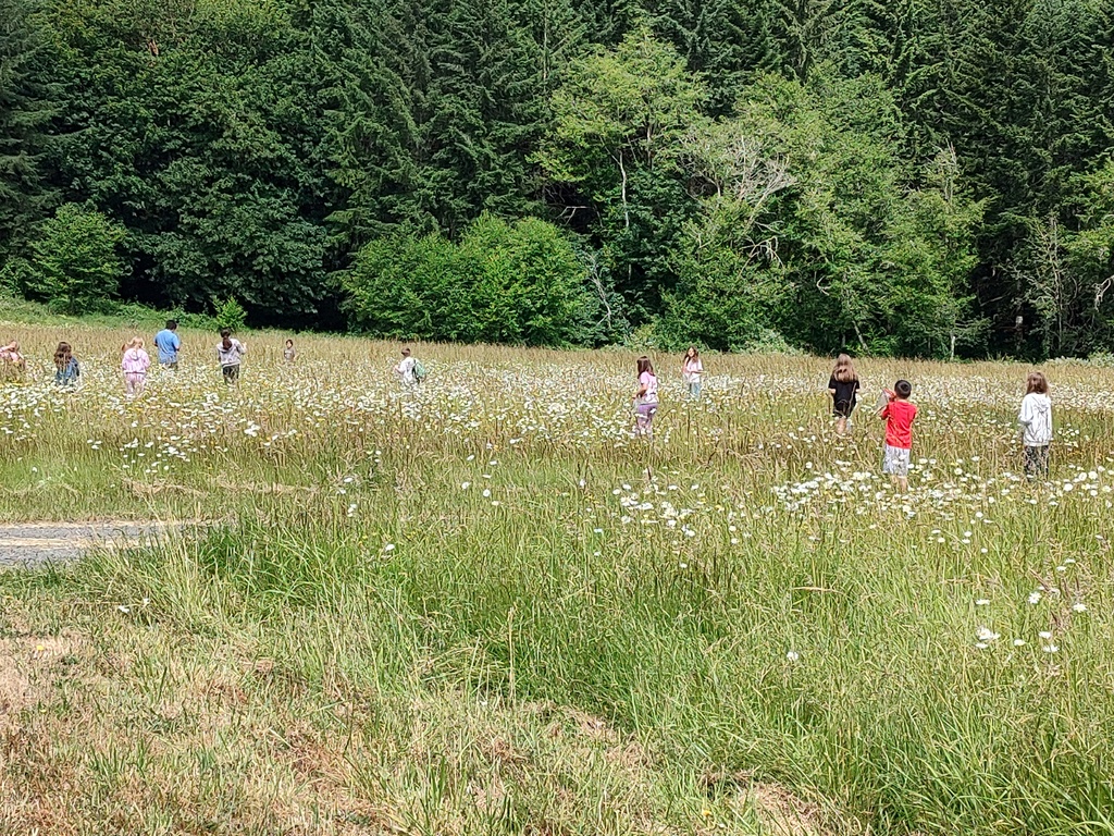 Nature Journaling 