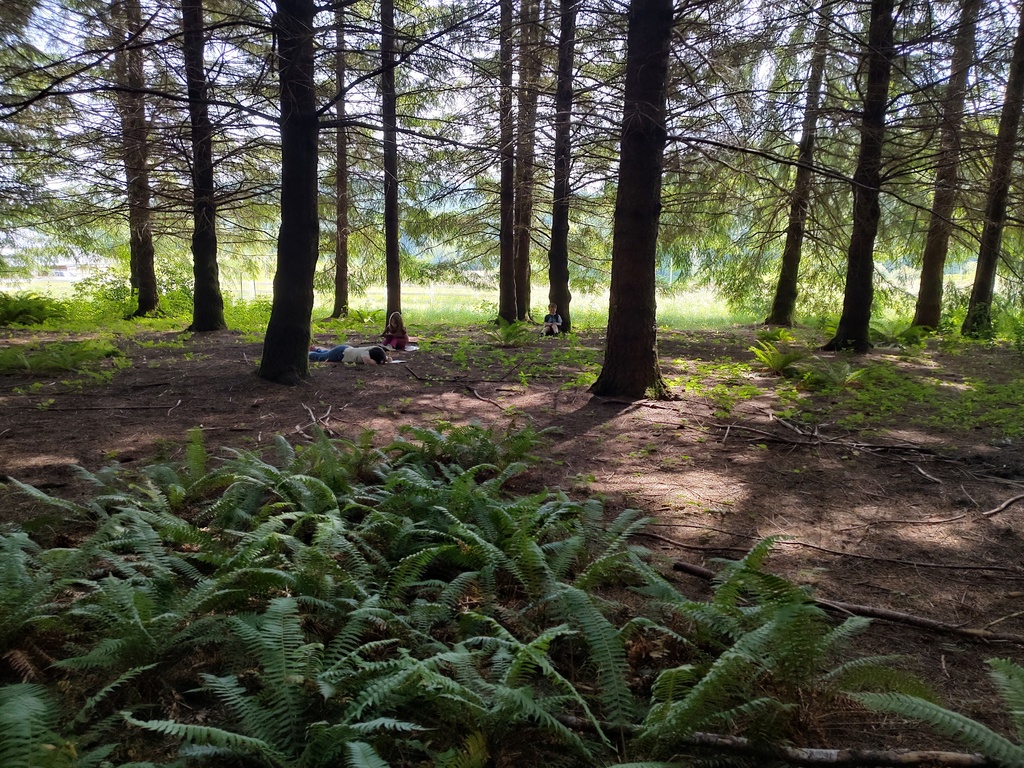 Nature Journaling 