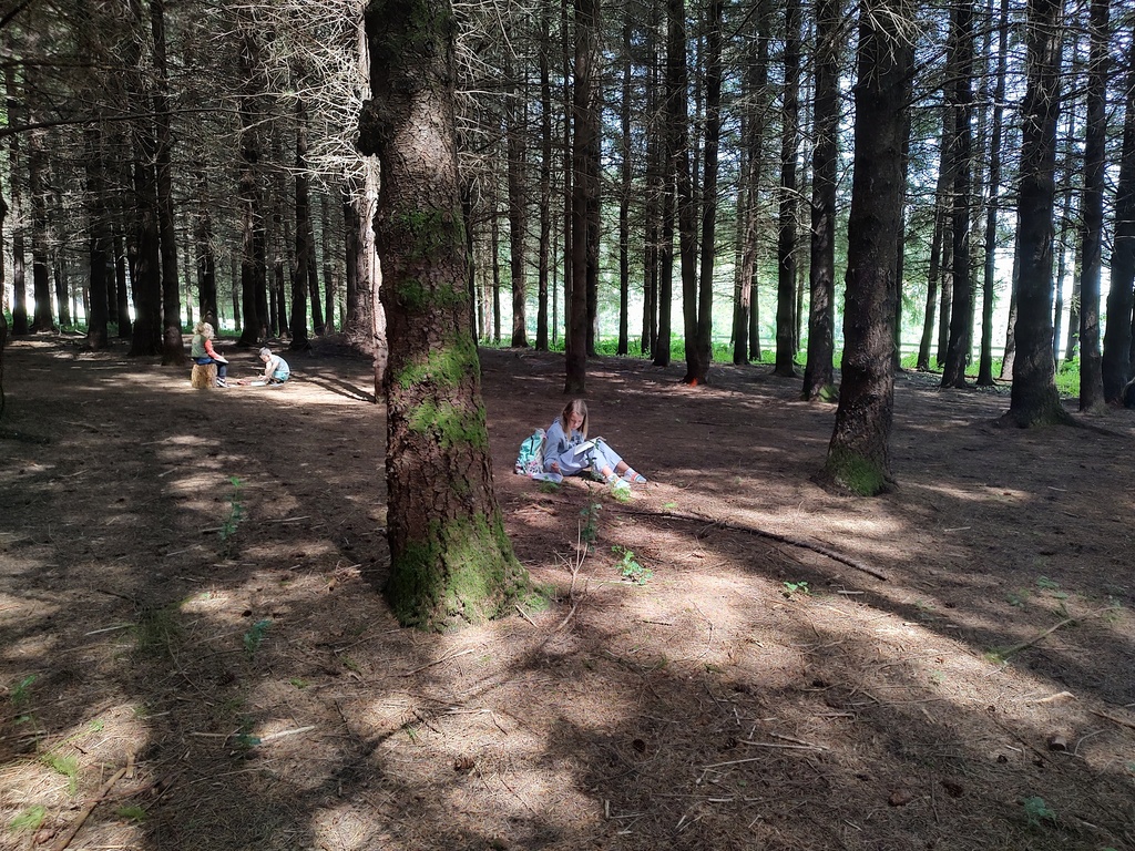 Nature Journaling 