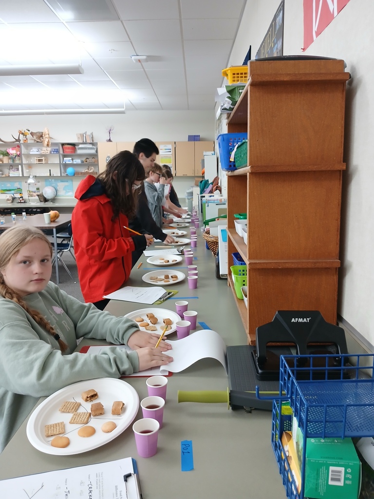 Students participating in a class activity