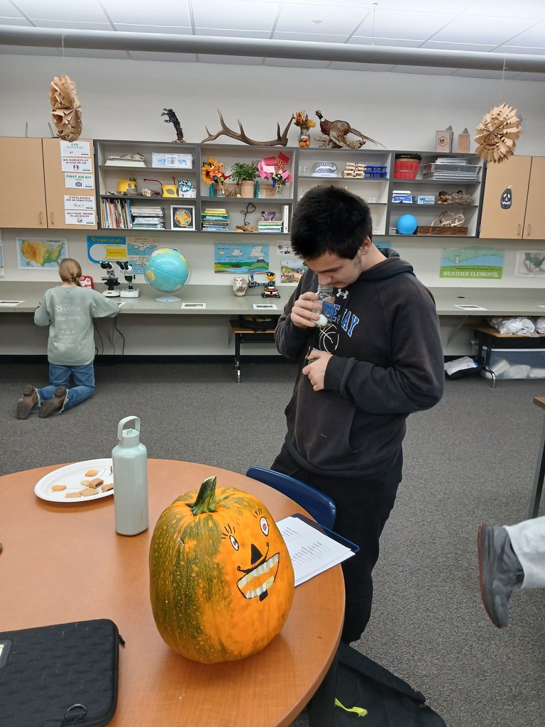 Students participating in a class activity