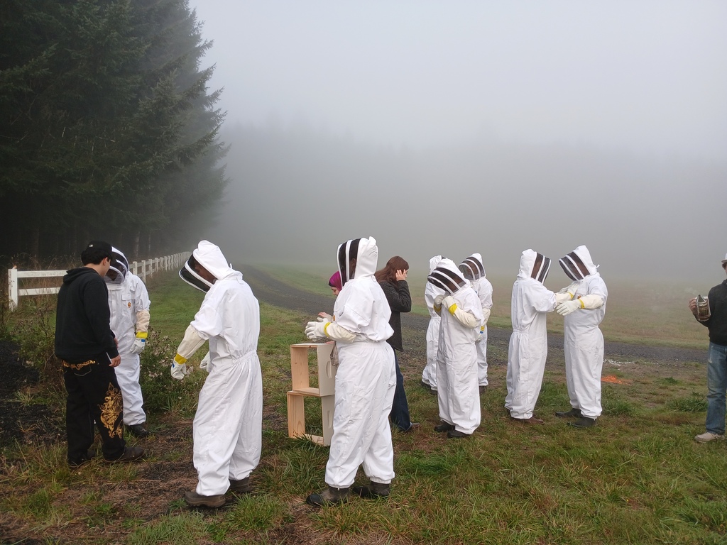 Students in white beekeeper suits checking beehive boxes.
