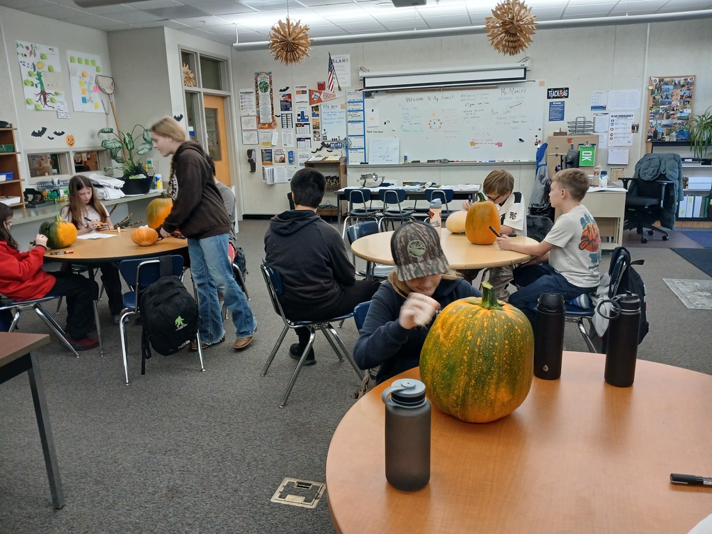 Students using paint pens to decorate their Halloween pumpkins.