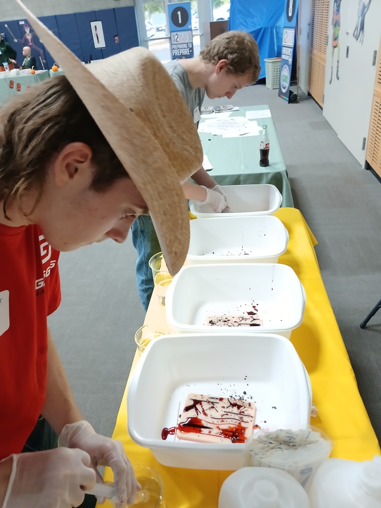 Students trying their hand at animal first aid.